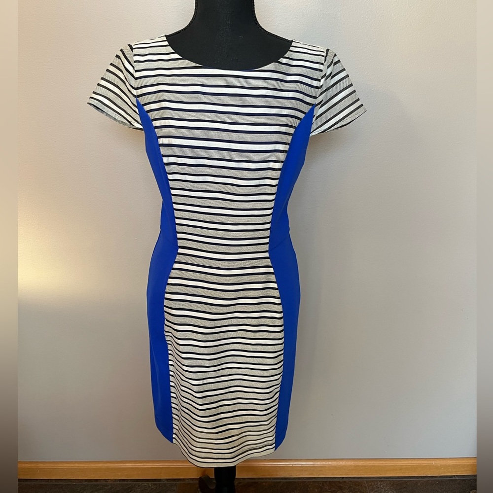 Anthropologie (Sachin & Babi) women’s stripe midi sheath dress. Size 4